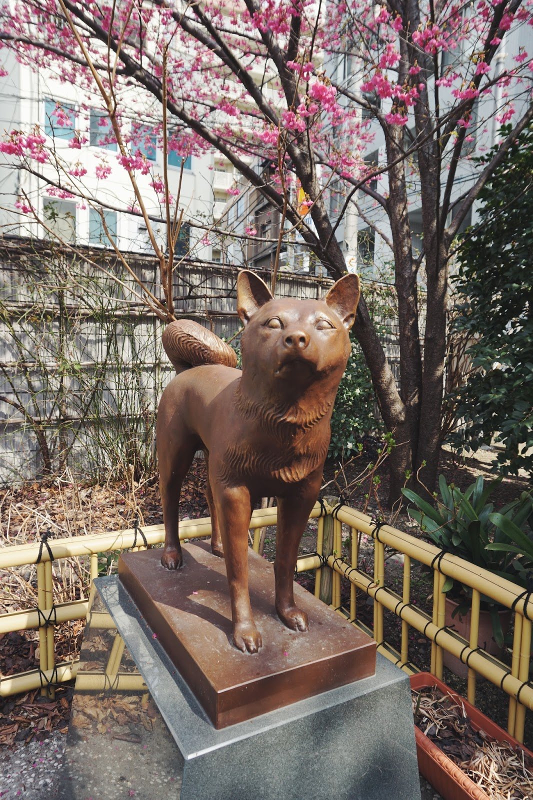 ⛩️ 쿠라마에 신사(蔵前神社) 이미지 4